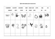 English worksheet: Animals  