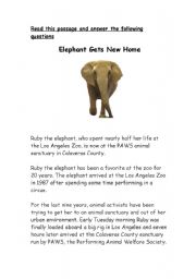English worksheet: Elephant Gets a New Home
