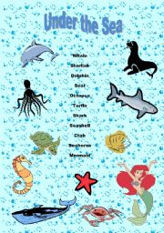 English Worksheet: Under The Sea