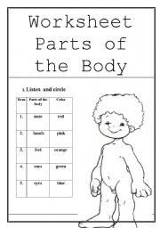 English worksheet: body parts