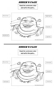 English Worksheet: Shreks face