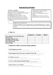 English worksheet: Animals Facts Project