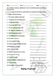 English worksheet: Revision of adjectives and nouns