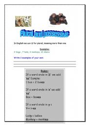 English worksheet: Plural and possessive