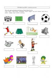 English Worksheet: World cup vocabulary exercise