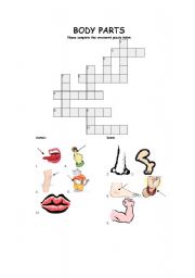 English Worksheet: body parts crossword