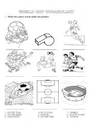 English Worksheet: World Cup 