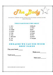 English worksheet: The Body