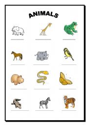 English worksheet: Animals