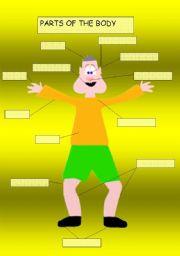 English Worksheet: Parts Of the Body for all Age