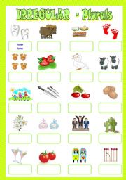 English Worksheet: Plurals - Irregular Forms