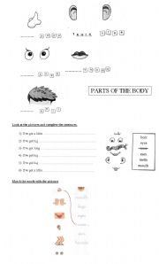 English Worksheet: Parts of the body