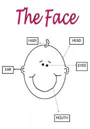 English worksheet: THE FACE