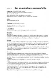 English Worksheet: lesson plan for lesson 30 1st year tunisian pupils