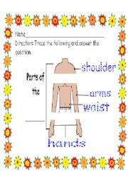 English worksheet: parts of the torso