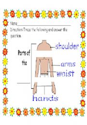 English Worksheet: parts of the torso