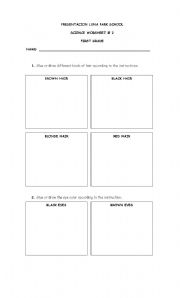 English Worksheet: hair and eyes