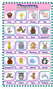 English Worksheet: Mammals