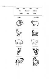 English Worksheet: Farm animals