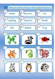 English Worksheet: Match the animals... Forest animals!