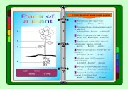 English Worksheet: Parts of a plant