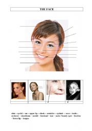 English Worksheet: face vocabulary