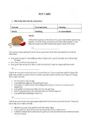 English worksheet: Pet Care