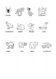 English worksheet: ANIMALS