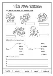 English Worksheet: The Five Senses