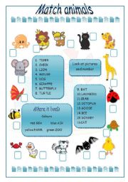 English Worksheet: Match animals