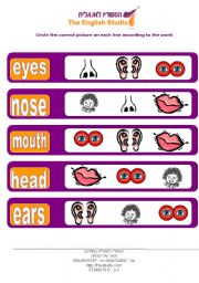 facial- head, eyes, ears,  mouth ,nose 