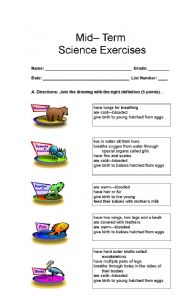 English Worksheet: Science Mid-Term Exercises