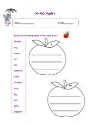 English Worksheet: A /An 