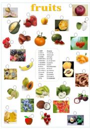 English Worksheet: fruits