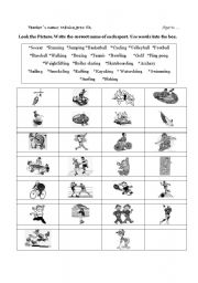 English worksheet: sports