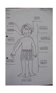 English worksheet: my body