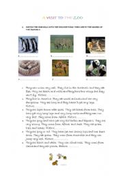 English Worksheet: a visit to the zoo