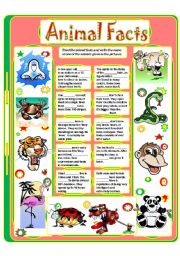 English Worksheet: ANIMAL FACTS (4)