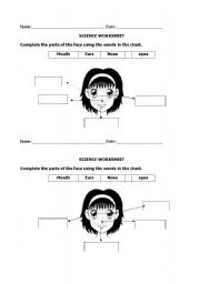 English worksheet: face worksheet