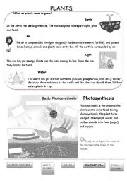 English Worksheet: plants