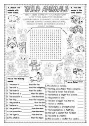 English Worksheet: WILD ANIMALS