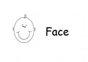 English Worksheet: Face flashcards