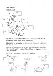 English worksheet: ANIMALS/TRANSPORT