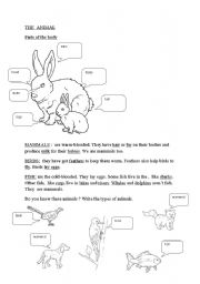 English Worksheet: ANIMALS/TRANSPORT