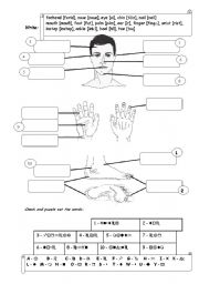 Vocabulary - parts of the body - head, hand, foot