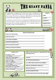 English Worksheet: The giant Panda