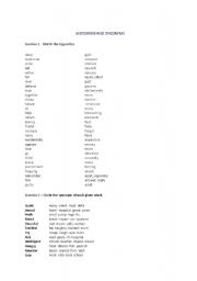 English Worksheet: Antonyms and Synonyms 