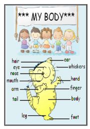 English Worksheet: MY BODY