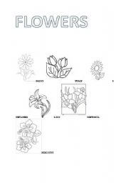 English Worksheet: Flowers Coloring Sheet