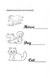 English worksheet: Rewrite the names and color the animals